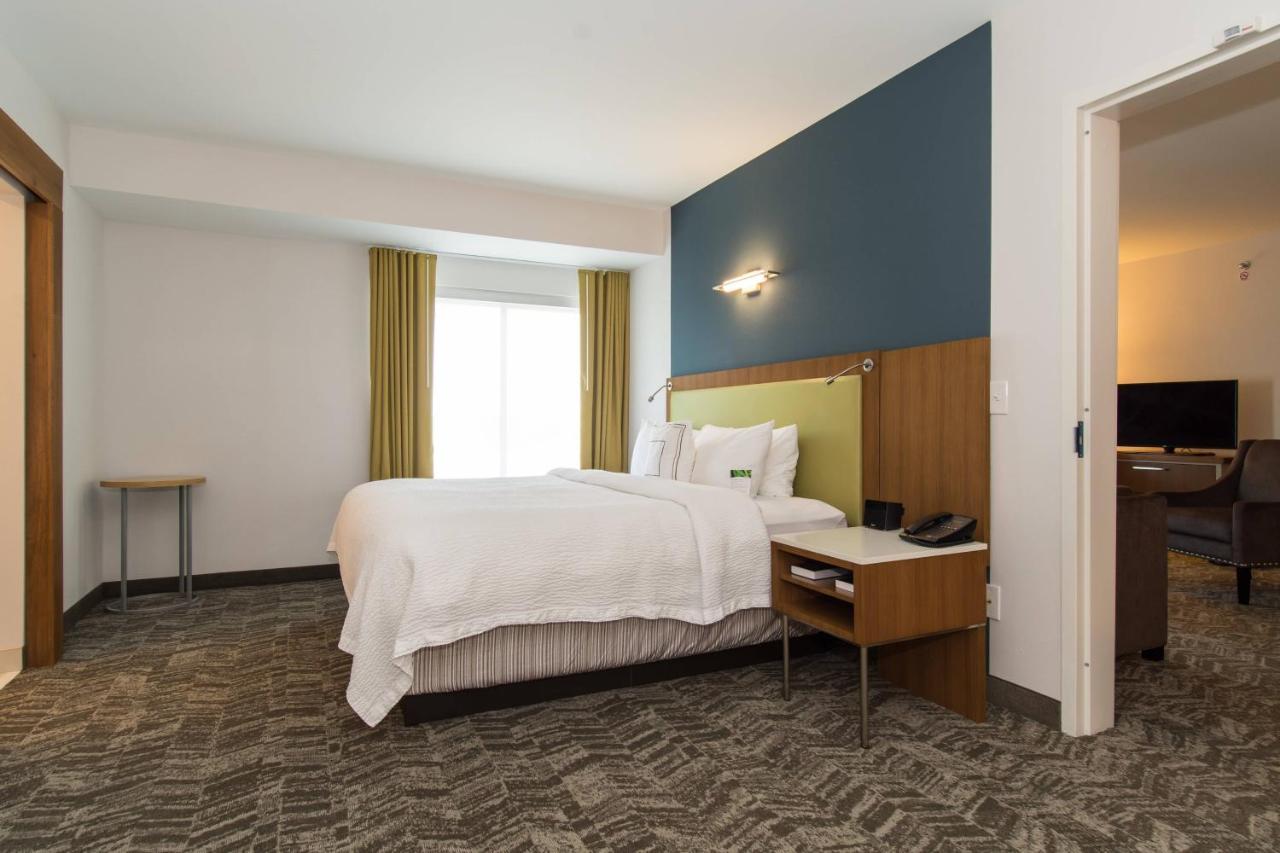 Springhill Suites By Marriott Charlotte Ballantyne Eksteriør bilde